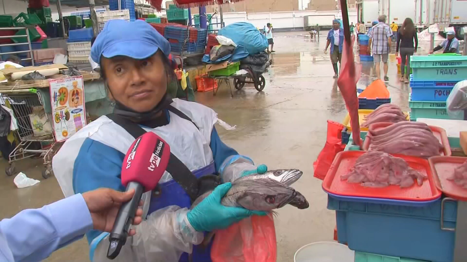 Trujillo: Venden pescado congelado en mercados a causa de los oleajes  anómalos - Exitosa Noticias