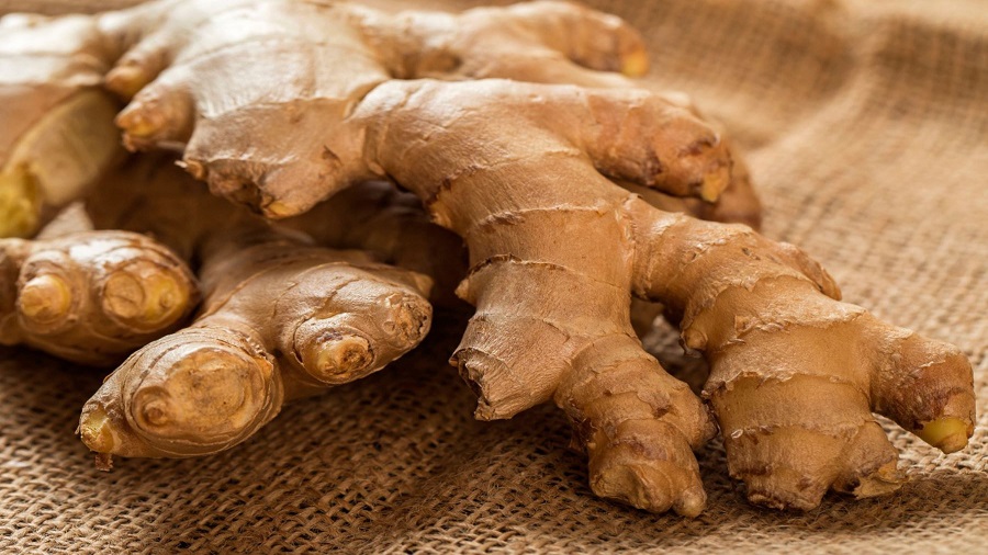 Estos Son Los Beneficios Kión Y Otras Plantas Medicinales Para Combatir Males Respiratorios Tvperú 0486