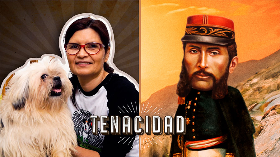 Rescatista y heroína de perritos