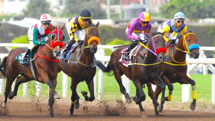 Gran Premio Latinoamericano 2024 será transmitido por TVPerú