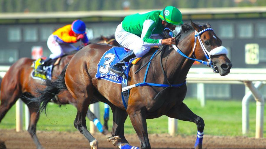 Gran Premio Latinoamericano 2024 se llevará a cabo en el Hipódromo de Monterrico