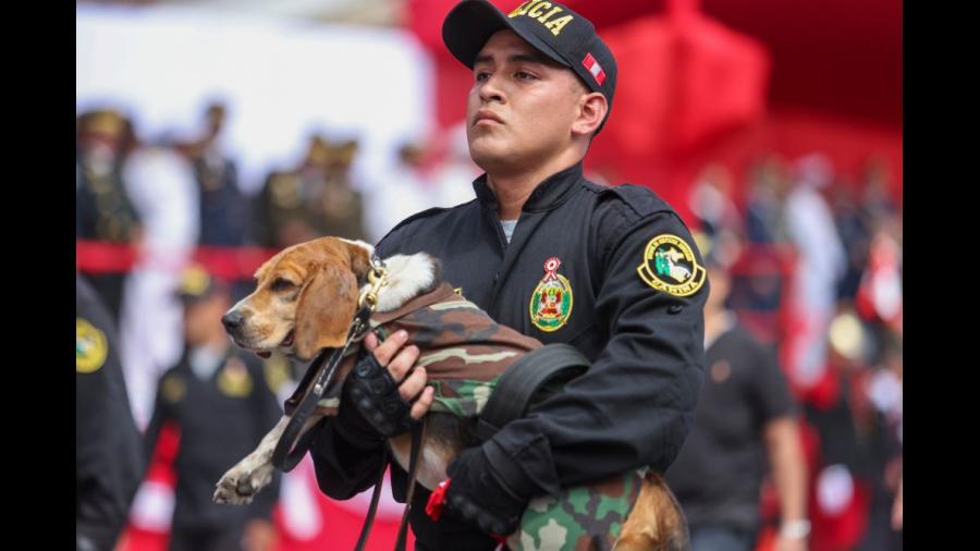 POLICIA CANINA