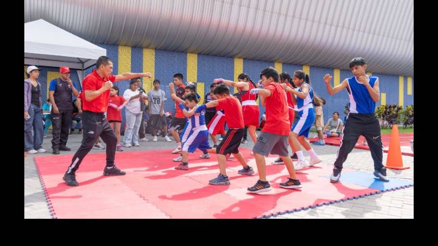 academia IPD temporada invierno