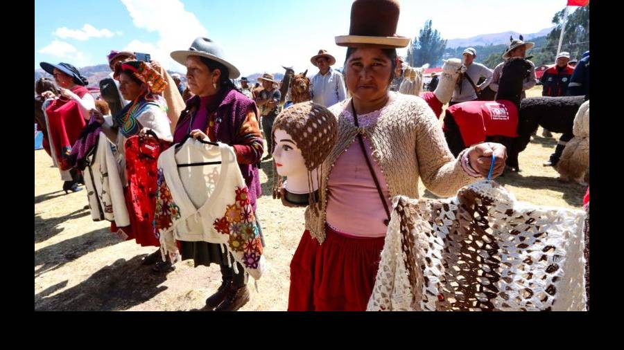 Festival Internacional de Camélidos 2024