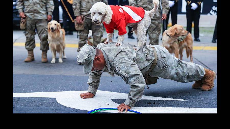 PARADA MILITAR