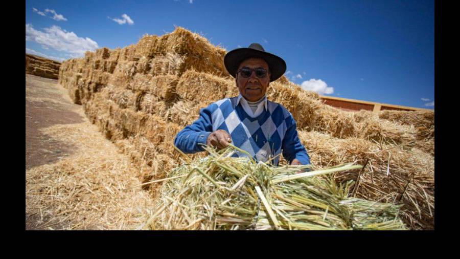 Premier resalta la tendencia al alza del crecimiento de la producción nacional