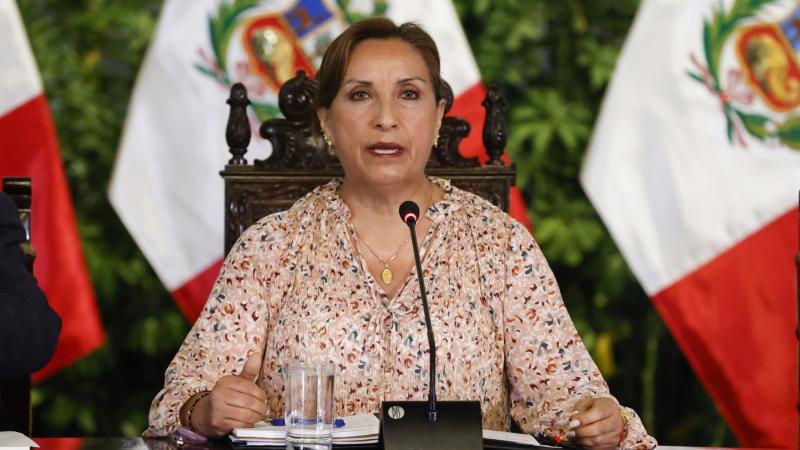 Dina Boluarte: Congreso aprueba proyecto para que presidenta despache de forma remota