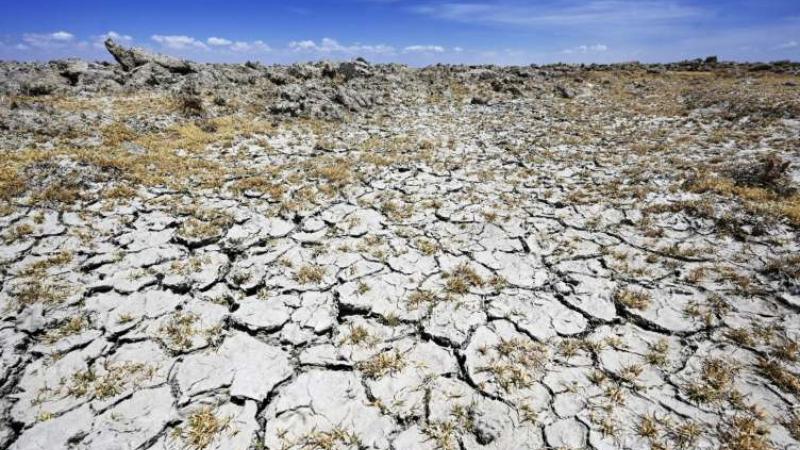 cambio climático  BID OCDE America Latina  