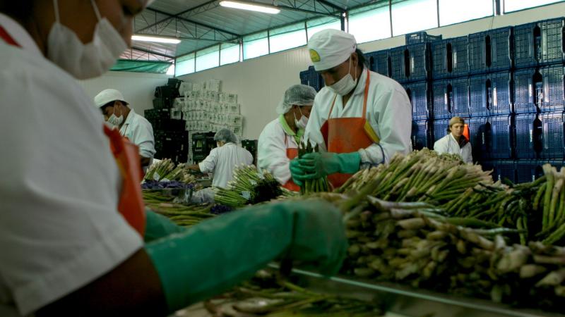 Agroexportaciones Crecen 265 En Primer Bimestre Del Año Y Suman Us 1569 Millones Tvperú 2933