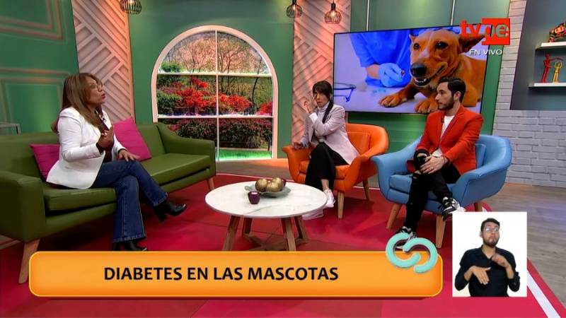 Diabetes en mascotas