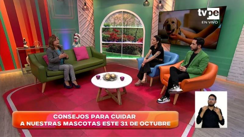 Cuidar a las mascotas el 31 de octubre