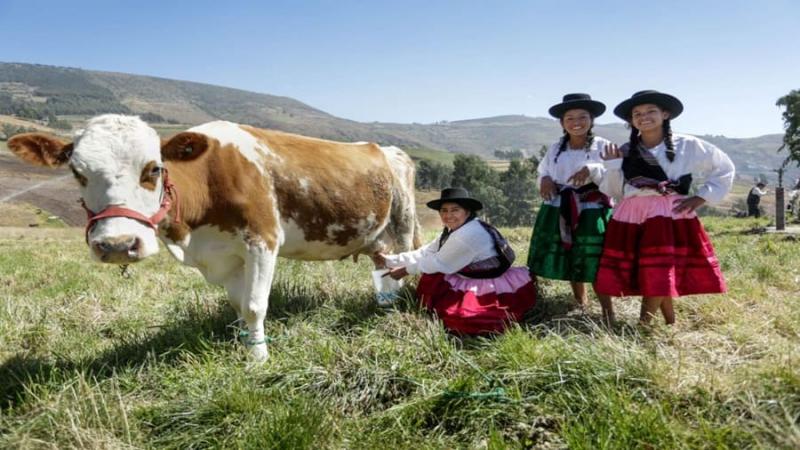 mujer agricultora con su vaca