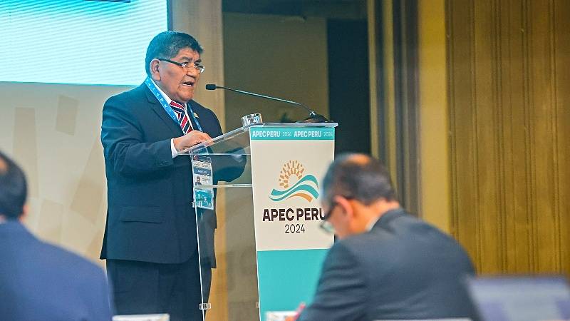 APEC MINEM ministro de energía y minas