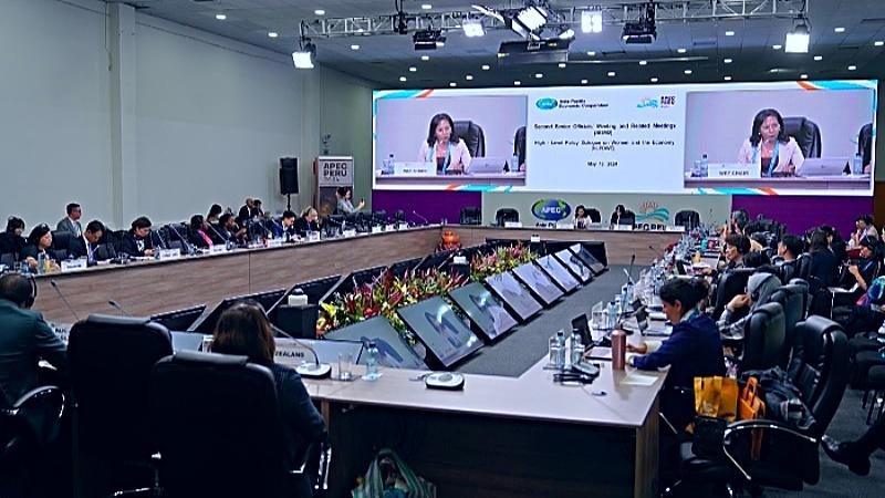 ministerio de la mujer inclusión APEC