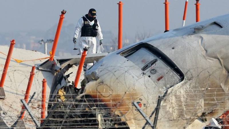 avion corea del sur accidente