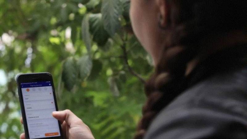 Billeteras digitales 