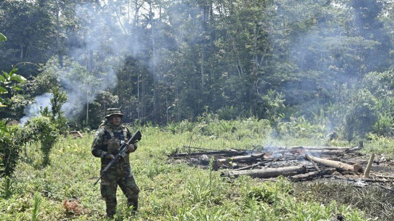 Militares quemando cultivo de hoja de coca con vinculación al narcotráfico