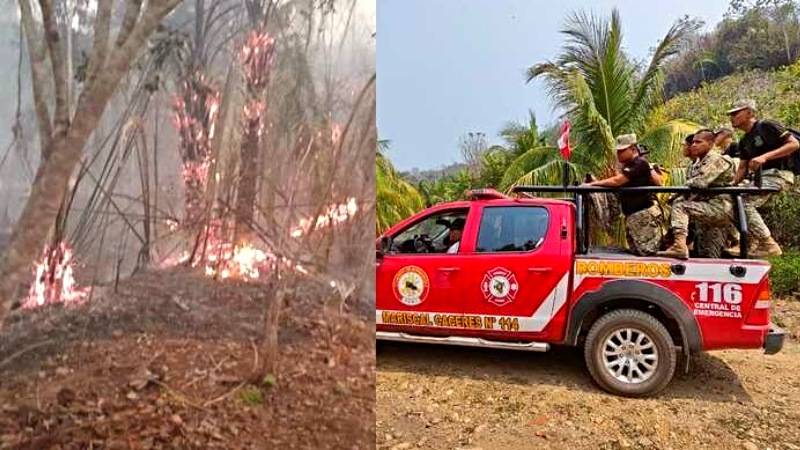 bomberos incendio soldados incendio forestal