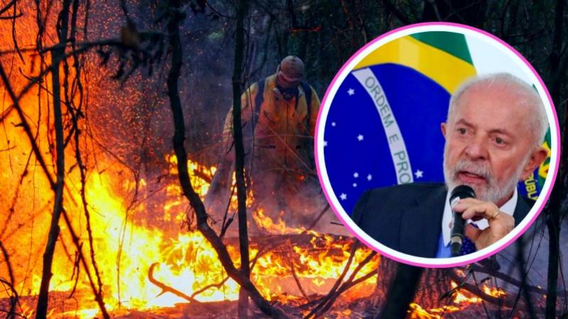 Brasil incendio quema bosques selva árboles lula 