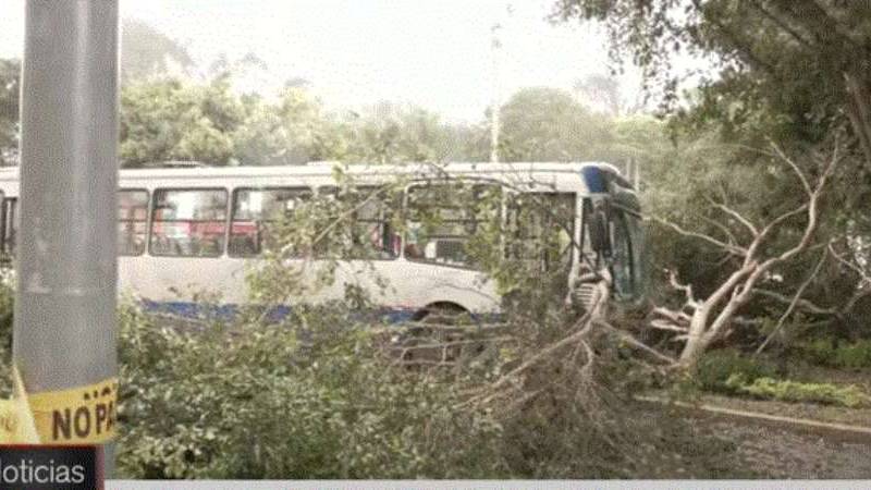 accidente de tránsito