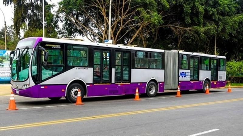 Corredor morado de 18 metros