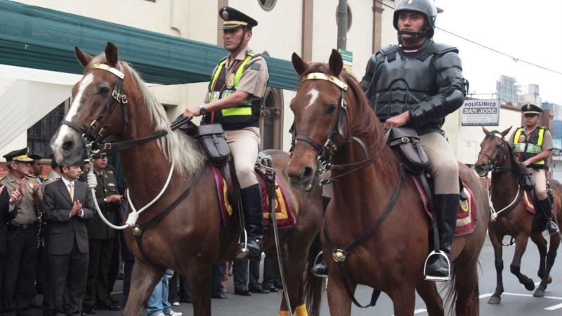 POLICÍA MONTADA 