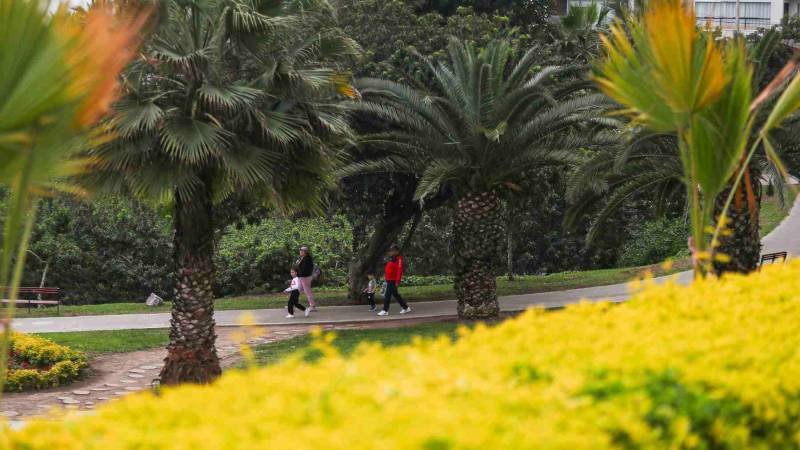 CLIMA EN LIMA PRIMAVERA