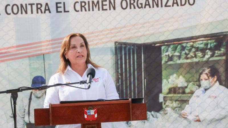 Dina Boluarte droga destrucción de droga Mininter delincuencia bandas criminales
