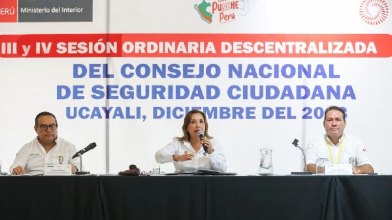 Dina Boluarte Presidencia Ucayali Conasec seguridad ciudadana