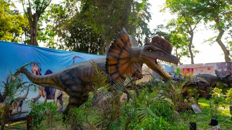 Visita la exhibición de dinosaurios a escala real en el club zonal Sinchi  Roca | TVPerú