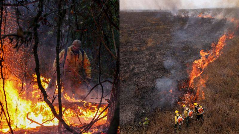 incendio forestal Brasil