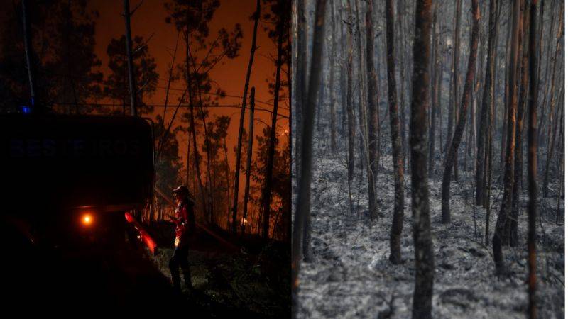 Portugal incendios forestales