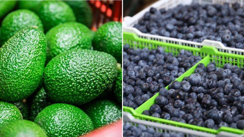 palta y arándanos