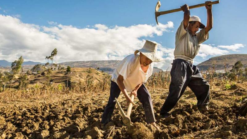 ¿Cómo saber si eres beneficiario del Fertiabono 2 antes de que finalice el plazo?