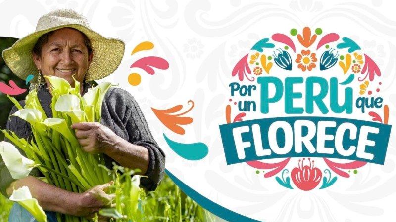 FLORES PARA SANTA ROSA