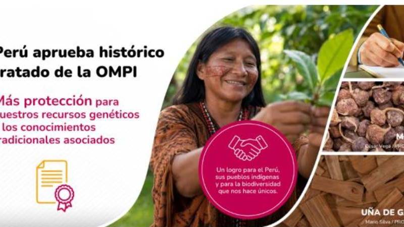  Organización Mundial de la Propiedad Intelectual 