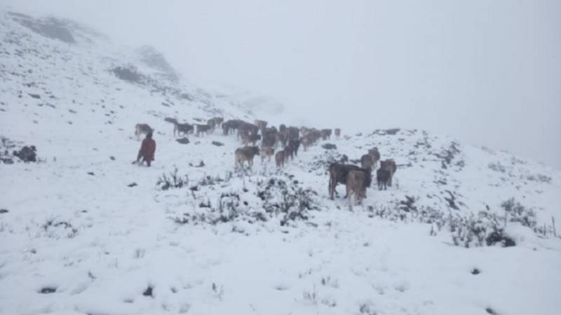 frio en la sierra