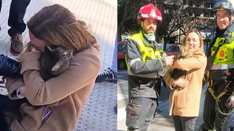 gato sobrevive a incendio en valencia