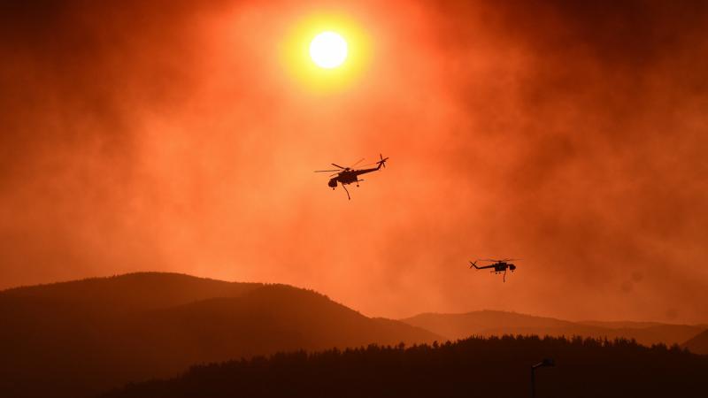 Grecia migrantes calcinados incendios incendios forestales muertos