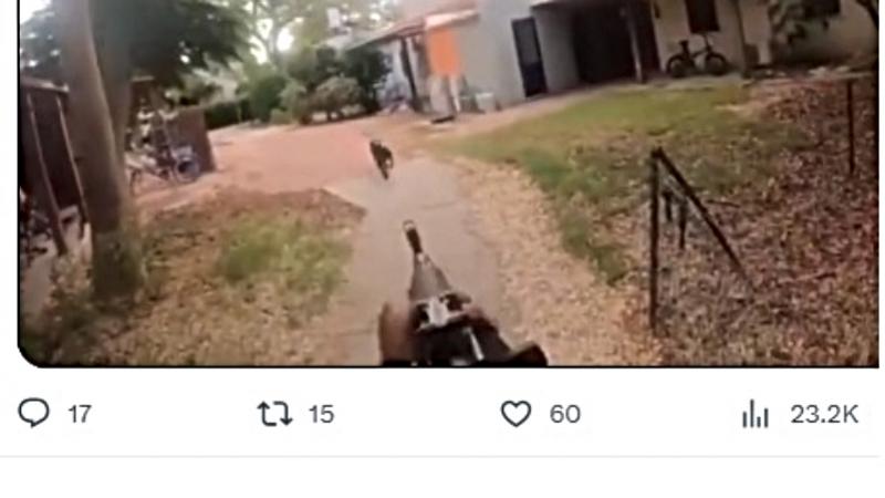 Video viral de Hamás en el que asesinaron a un perrito y saquearon una casa de ciudadanos de Israel