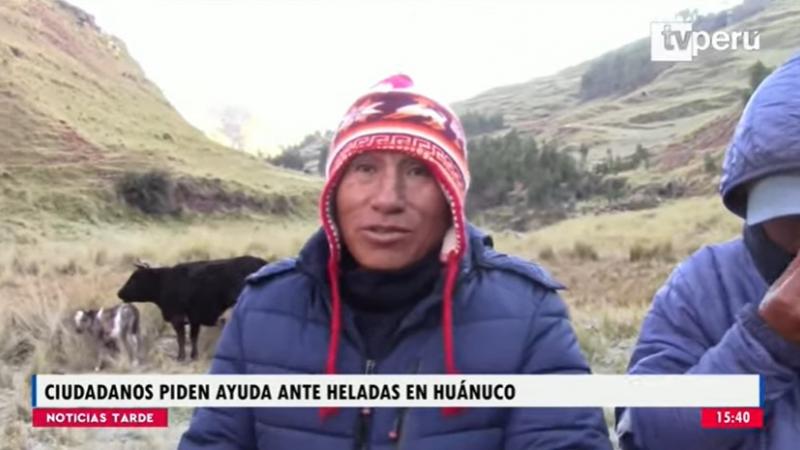 Huánuco: ciudadanos piden ayuda ante temporada de heladas