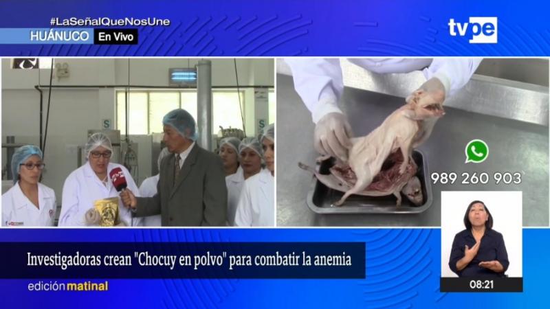 Huánuco anemia desnutrición chocolate cuy