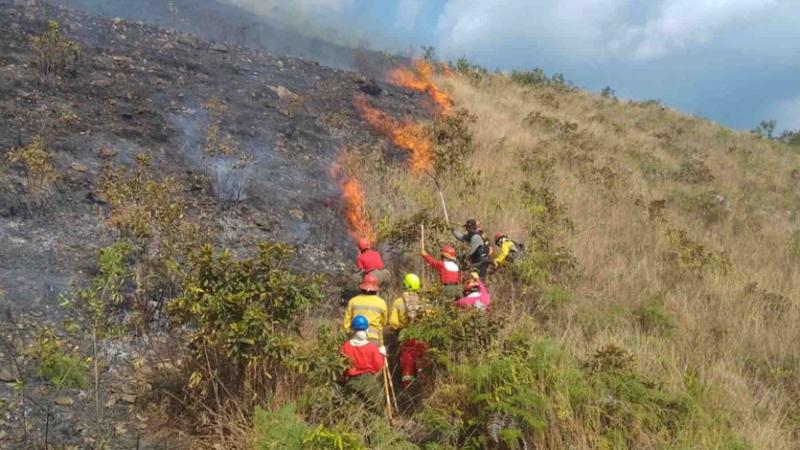 INCENDIO FORESTAL