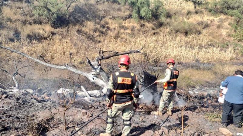 INCENDIO FORESTAL