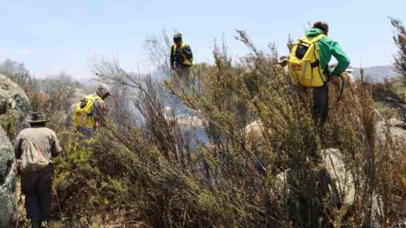 INCENDIO FORESTAL