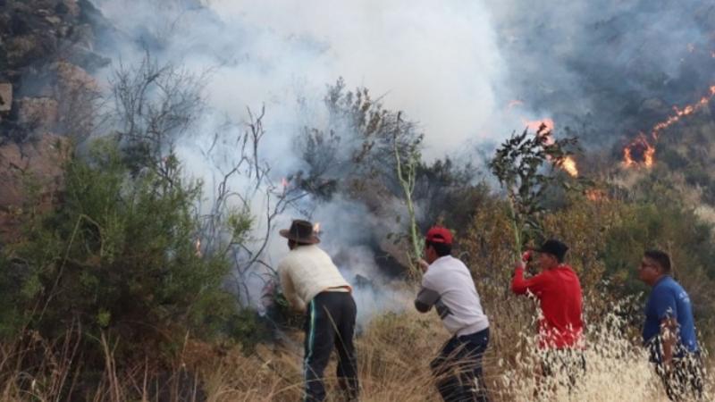 Ayacucho: incendio forestal arrasa con al menos 100 hectáreas de vegetación en Sancos
