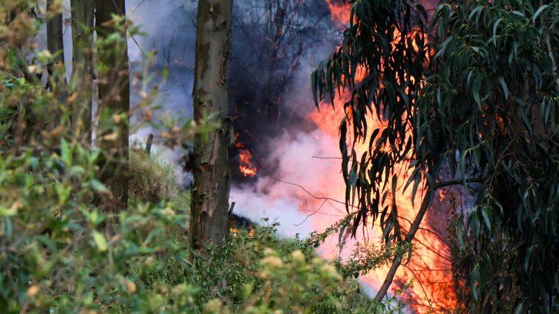 INCENDIOS FORESTALES ECUADOR