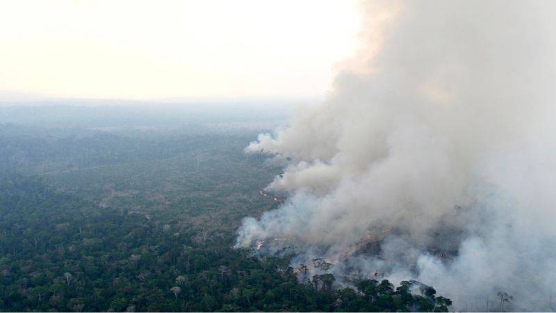 Incendio forestal 