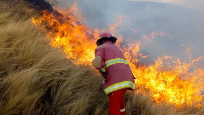 Incendios forestales en Perú: conoce las causas, consecuencias y cómo evitar estos eventos
