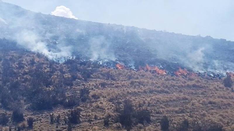 incendios forestales